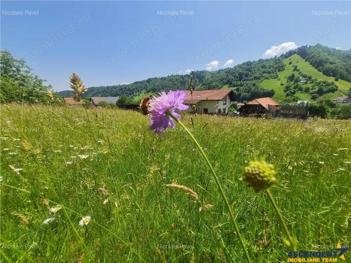 View superb:intravilan,constructie rezidenta hotel, 2.327 mp,Moieciu de Jos, Bran - 19