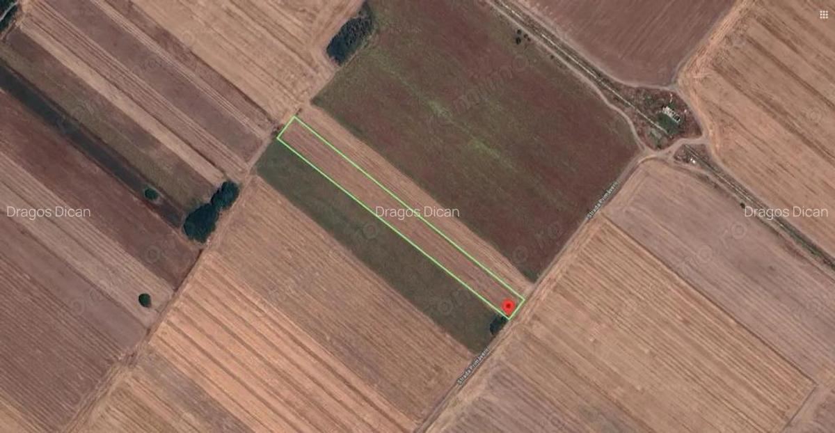 Teren Extravilan In Rate Primaverii Com. Berceni | 10.000mp | #EG51 - 1