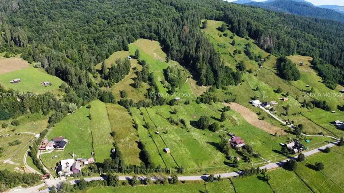 Teren intravilan 6527 mp Stulpicani - Bucovina - 3