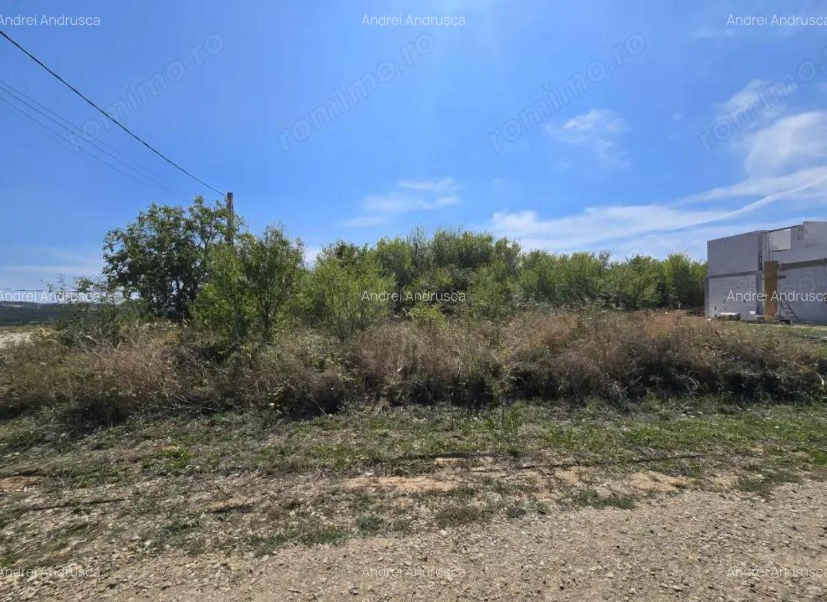 Teren Paleu Intravilan - 4