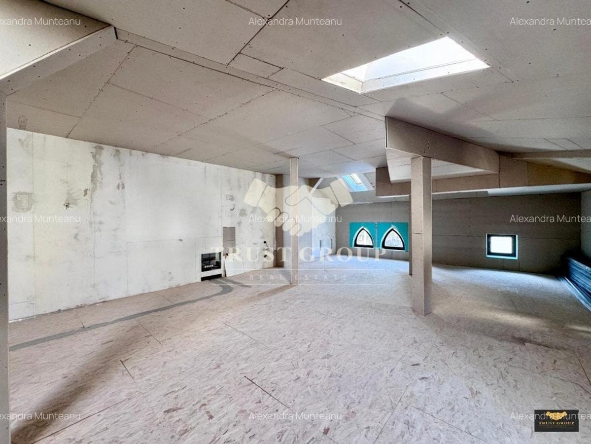 Casa individuala Gradina Icoanei | 2 Locuri Parcare | 253 mp curte libera - 28