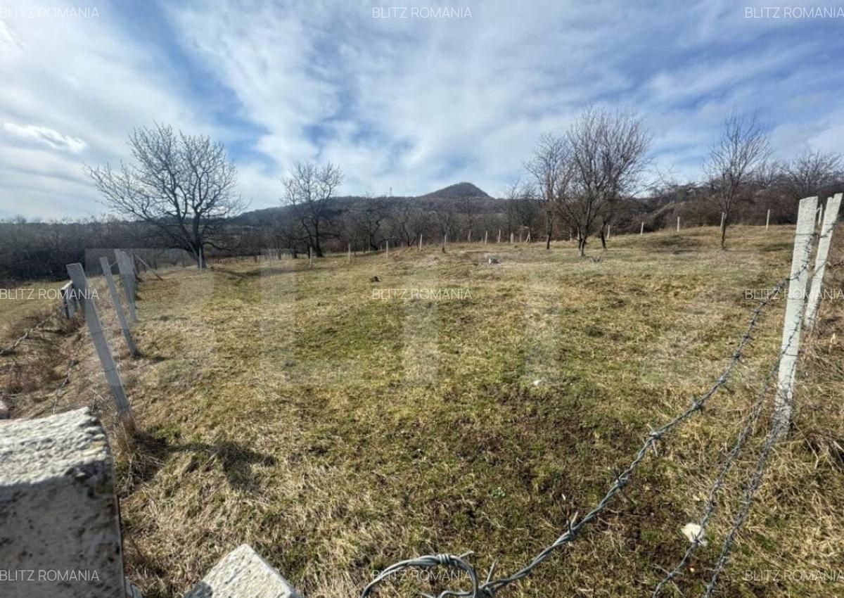 Teren extravilan de vanzare, 1000 mp, zona Valea Rusului - 1