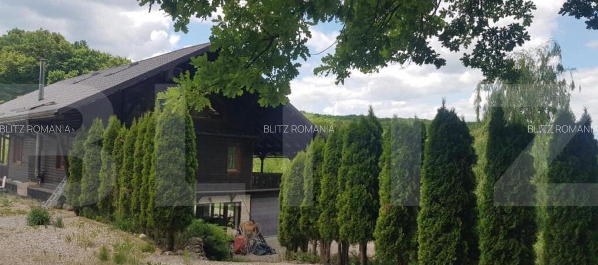 Investitie ! Casa de vacanta 350 mp utili ,teren 3000 mp in - 18 Investitie ! Casa de vacanta 350 mp utili ,teren 3000 mp in - 18