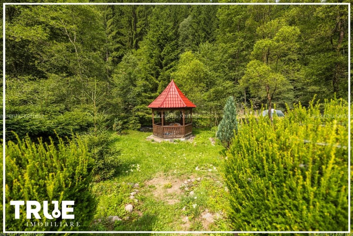 Cabană de vânzare, 95m? utili, teren 1276m?, Sălard! - 12