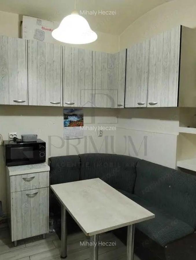 Apartament Spatios - Renovat Complet - Centrala Proprie - Zona Fabrica de Bere - 2