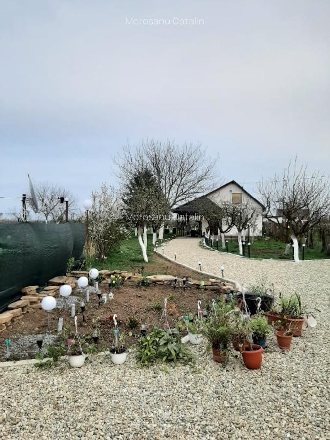 Casă și teren intravilan pentru investiții - 2