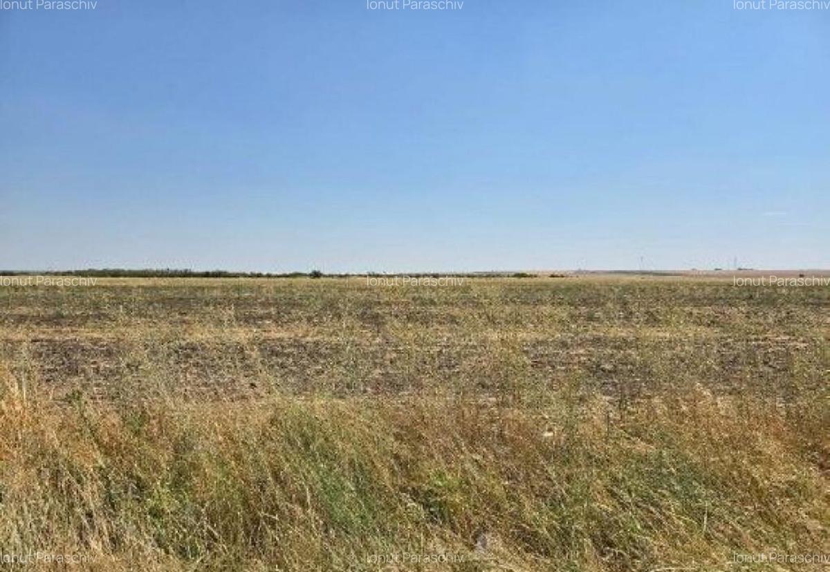 Teren extravilan Smardioasa, cota 1/6, ID: R2688427 - 14