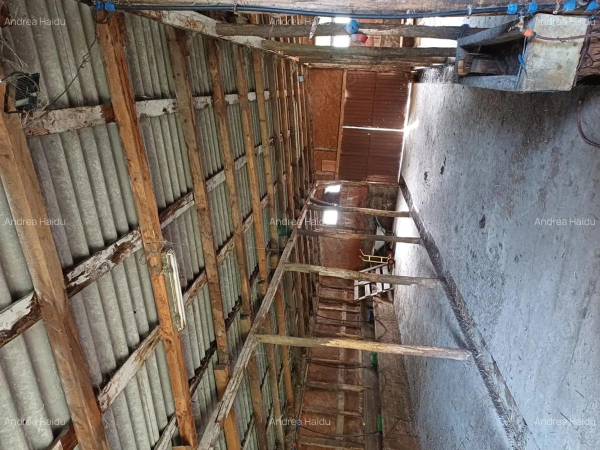 Ferma de vaci de vanzare - 7