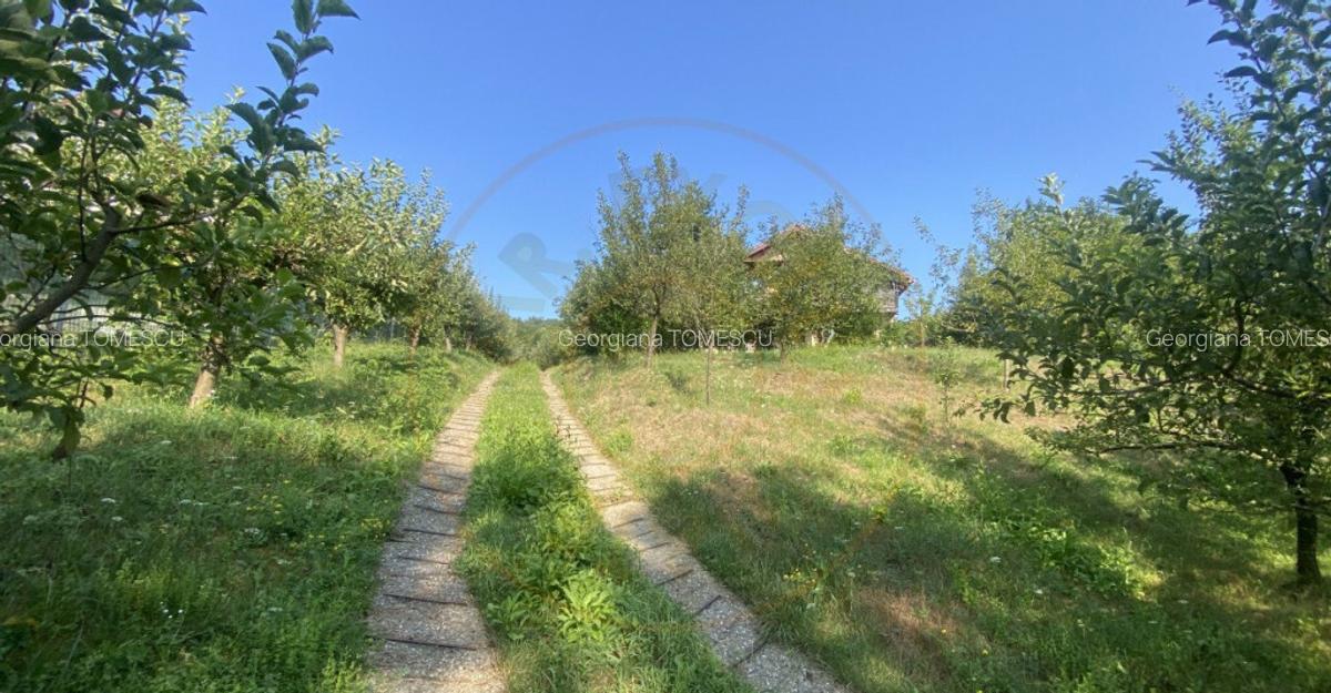 Casa ta de vis la 10 km de Mioveni. Comision 0% - 15