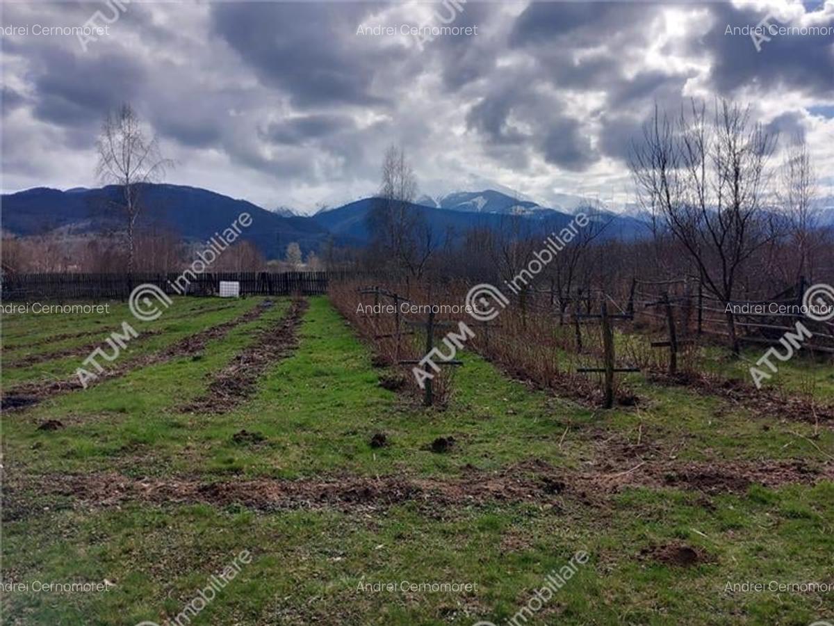 Teren Construcții intravilan de 2060 mp, în Central - 3