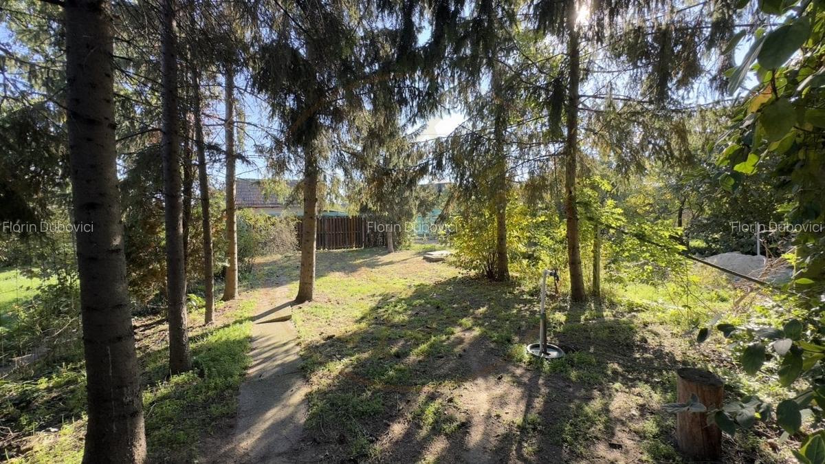 Casa de vinificatie 2 camere cu Teren 1389 mp - Gradina Viilor ,,Nyulhat,,-Carei - 1 Casa de vinificatie 2 camere cu Teren 1389 mp - Gradina Viilor ,,Nyulhat,,-Carei - 1