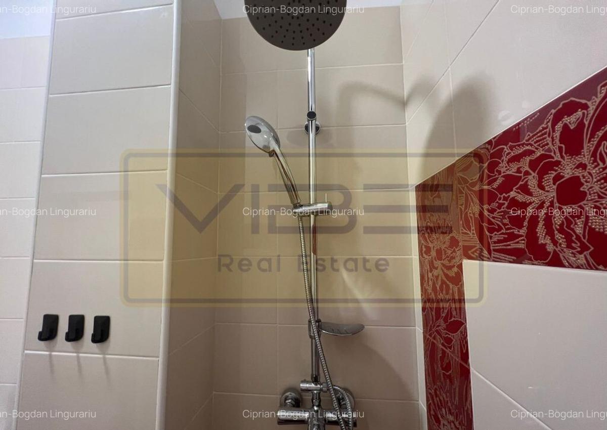 Spatiu de birou/comercial Bd. Independentei - Spiridon - 9