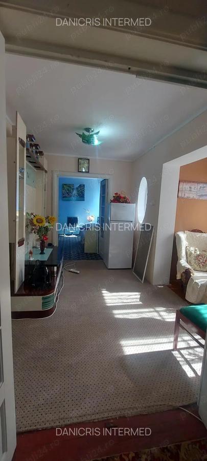 Stadion - Delfinariu - Casa - 5