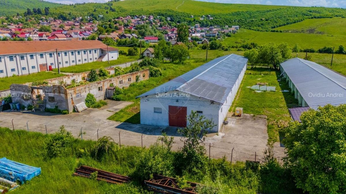 Spatiu industrial de 700mp de inchiriat - 12