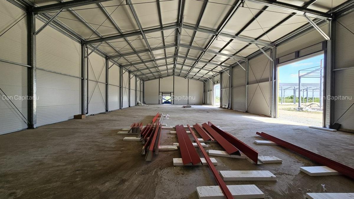 Hale noi in zona Progresul, Jilava - 5