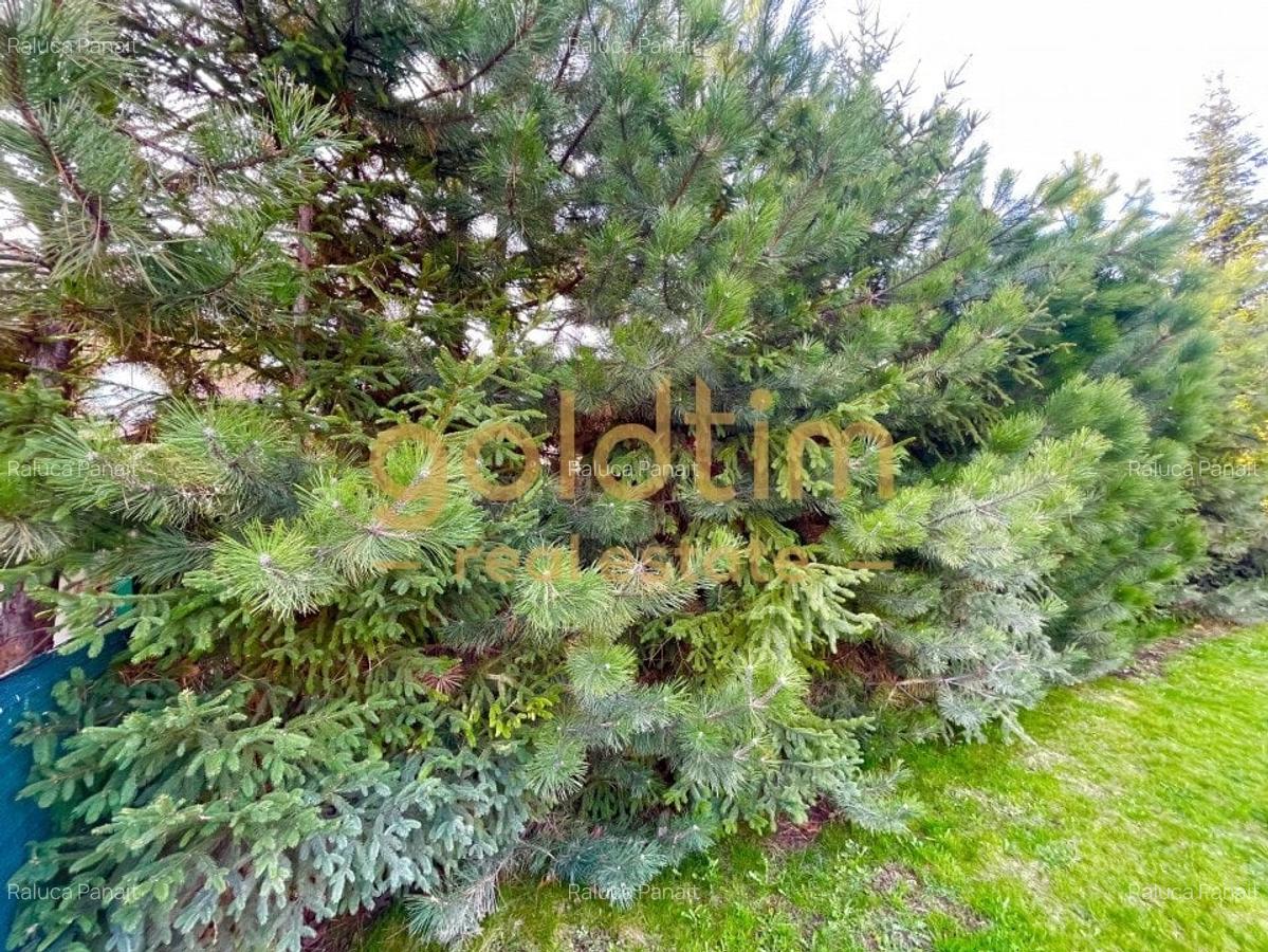 SUPERB/ ESQUISITE DESIGN/ GARDEN/ PARKINGS/ IANCU NICOLAE - 86