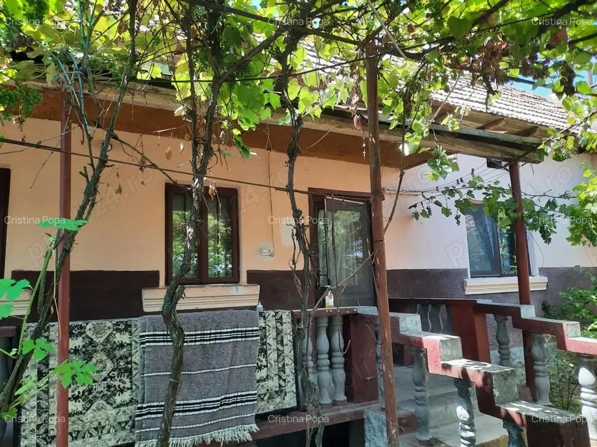 Casa cu teren de 5100 mp Babanei Romani - 4