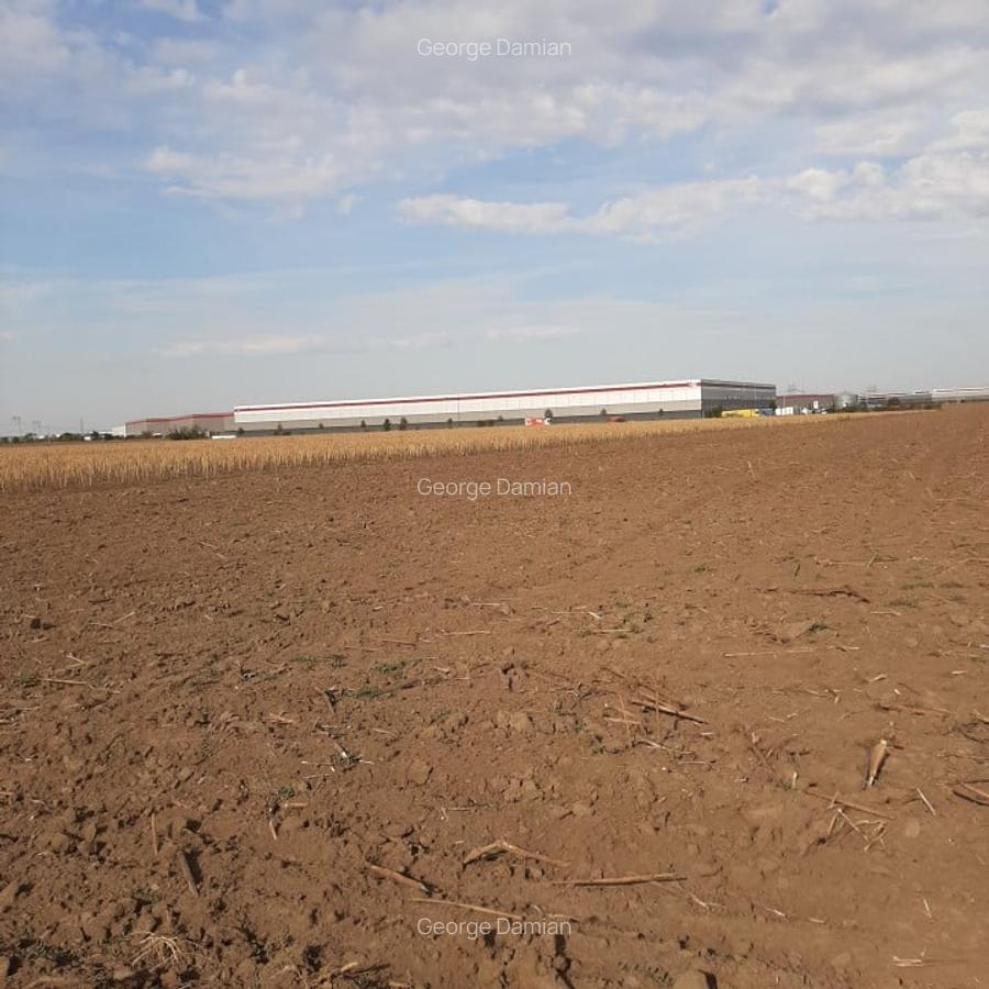 Teren, zona industriala, in Domnesti. Tarlaua 7, depozitele Logistics Park, A1 - 11