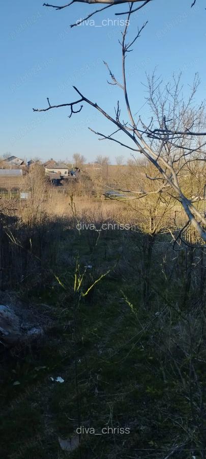 Vanzare casa Obarsia - 5