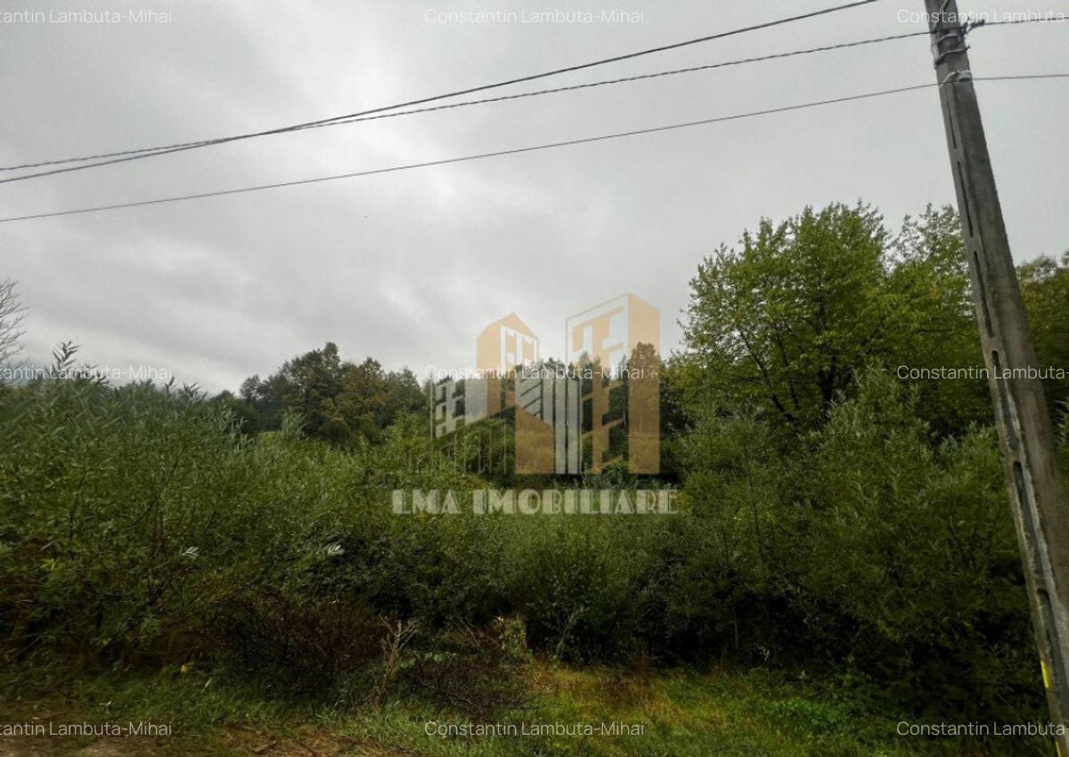 Teren intravilan Sinca Noua - 9