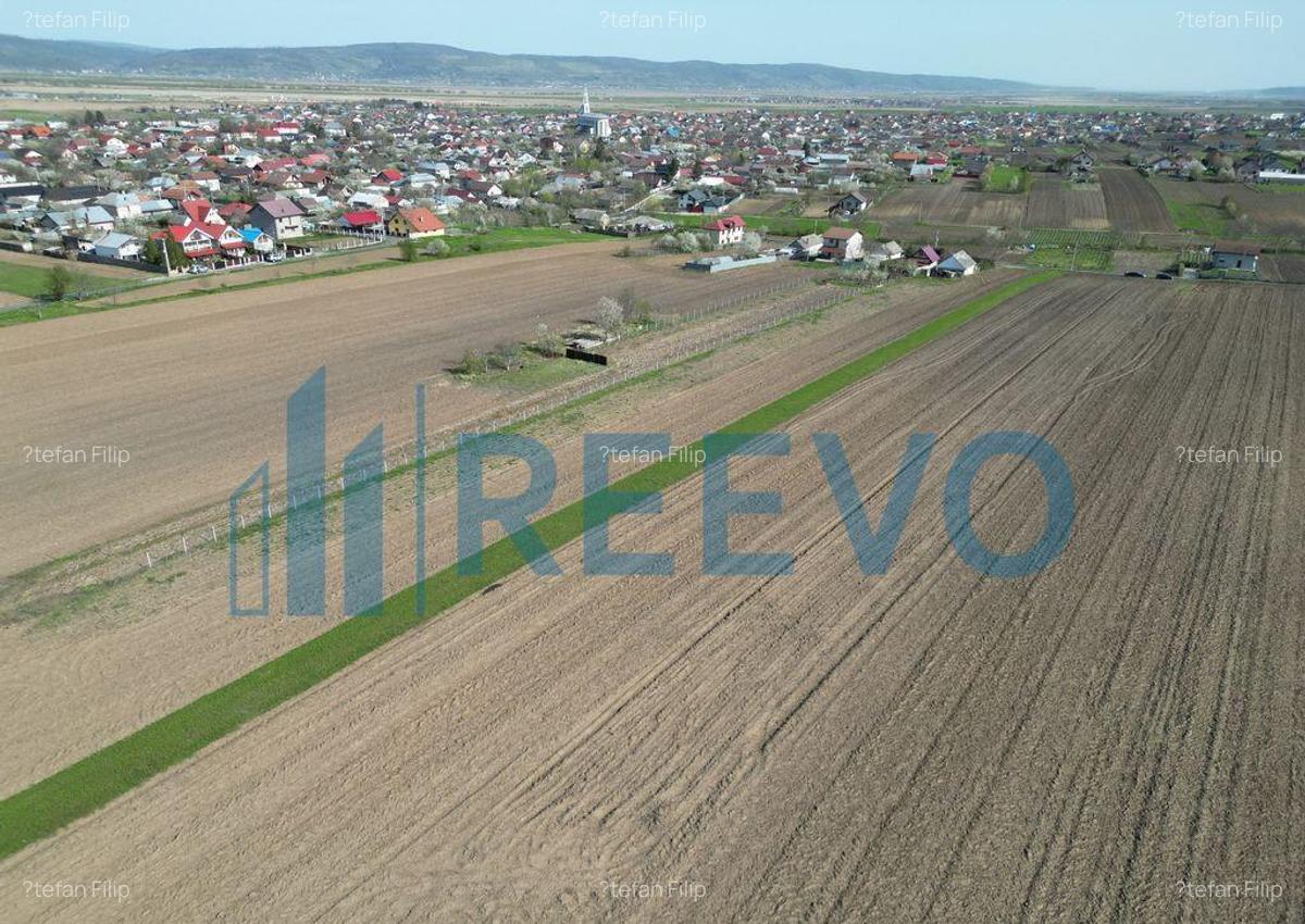 Teren de vanzare, Com. Nicolae Balcescu, Jud. Bacau - 24 Teren de vanzare, Com. Nicolae Balcescu, Jud. Bacau - 24