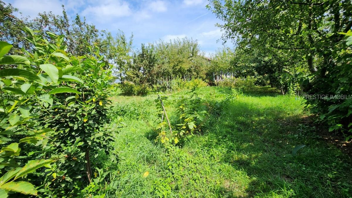 Teren intravilan, 1195mp, utilitati, la liziera padurii, parau, Faget - 3