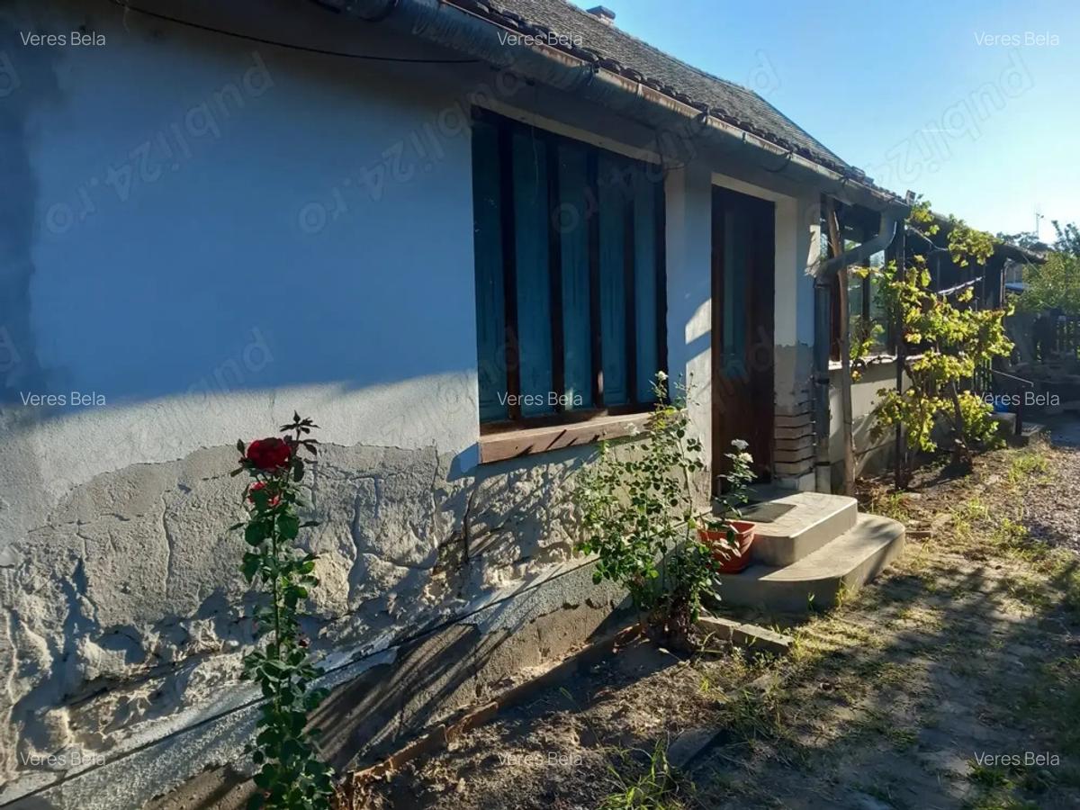 Casa de vanzare - 4