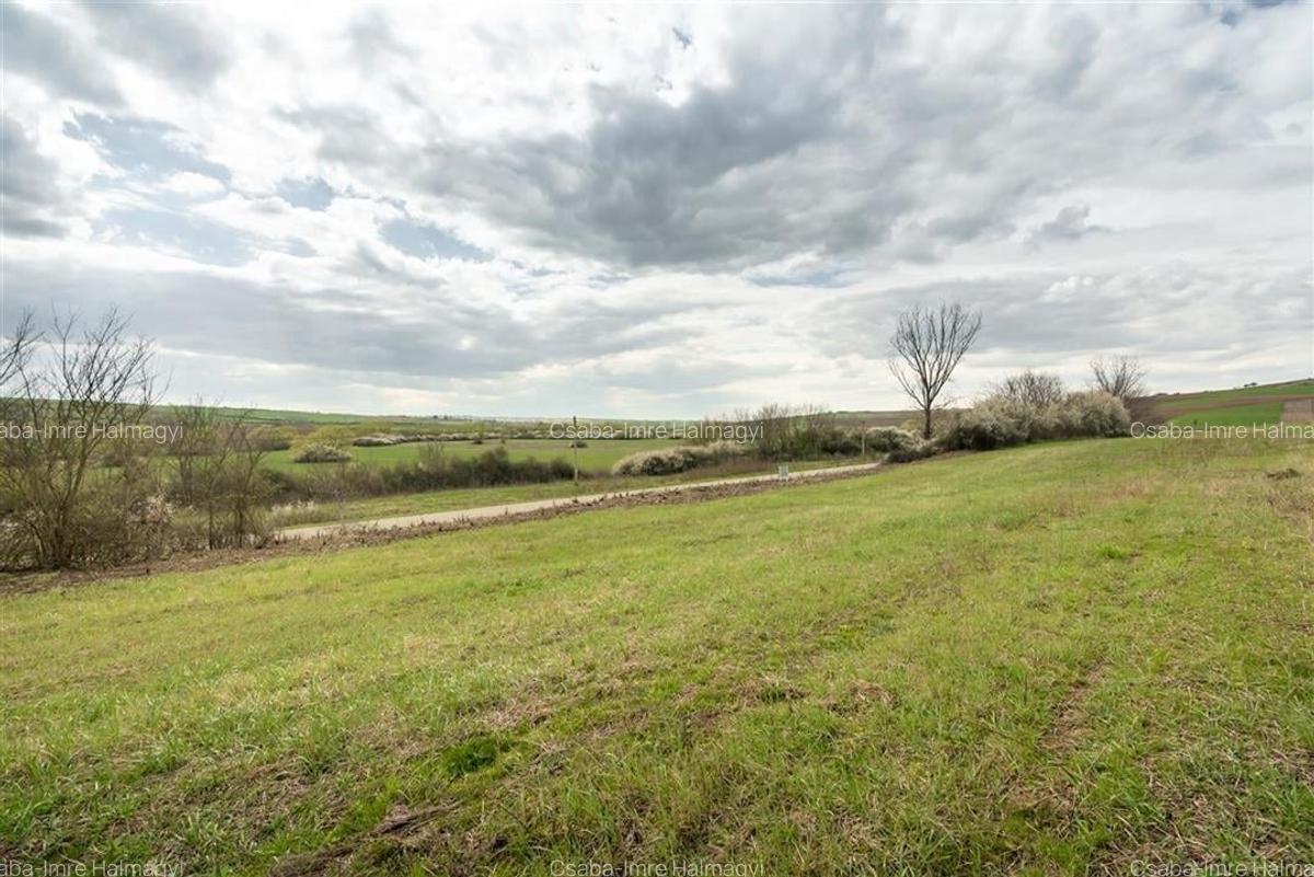 Teren Construcții intravilan de 2600 mp, în Cetariu - 7
