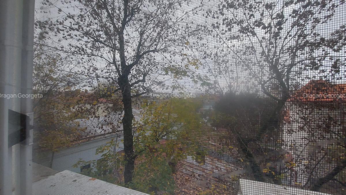 BUCUR OBOR-LICEU IULIA HASDEU - 11