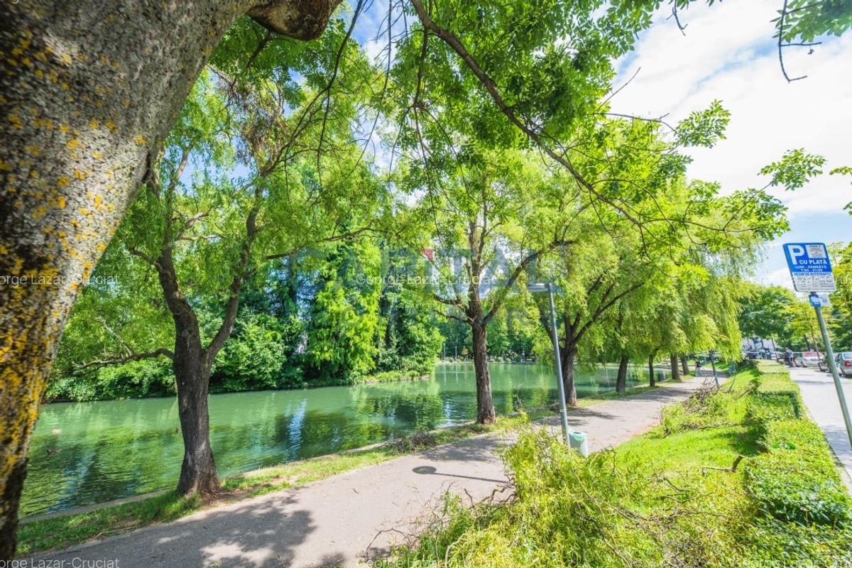 Teren generos si casa deosebita langa Parcul Central - oportunitate rara in Cluj - 15