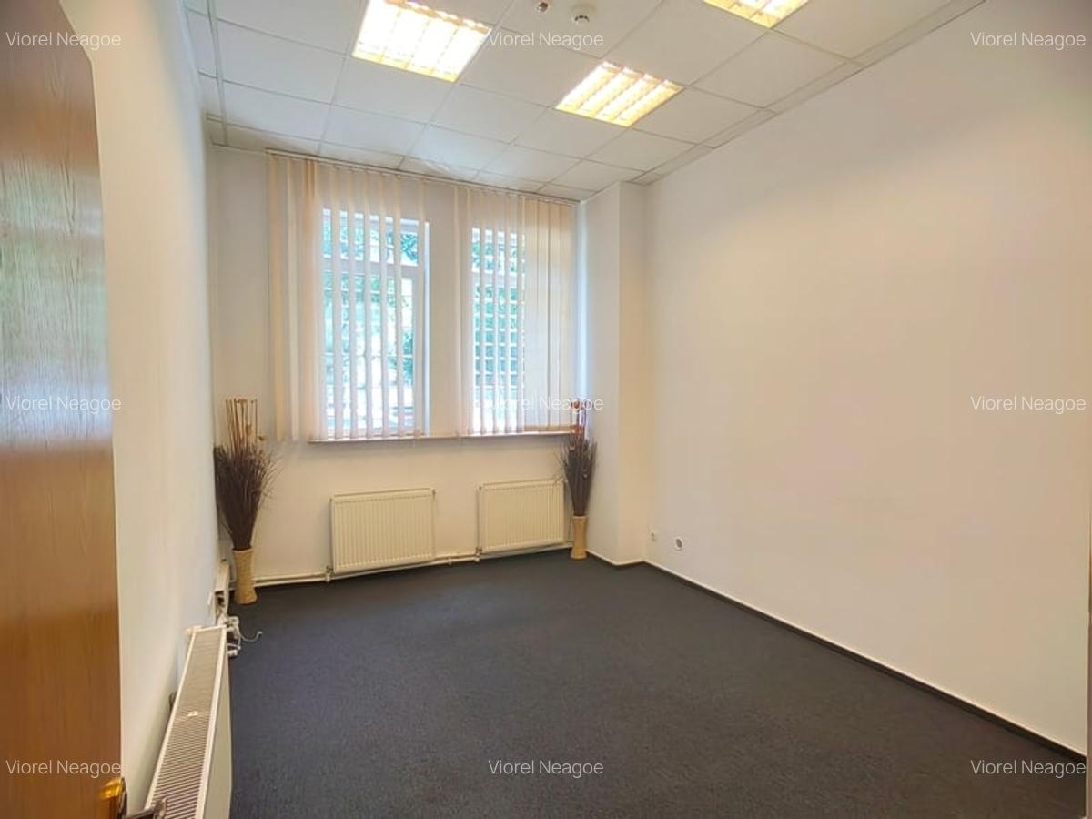 Vila de inchiriat Cismigiu Stirbei Voda - 5