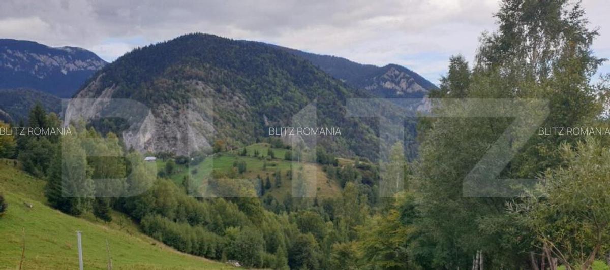 Teren 13.570 mp, Moieciu Pestera - 17