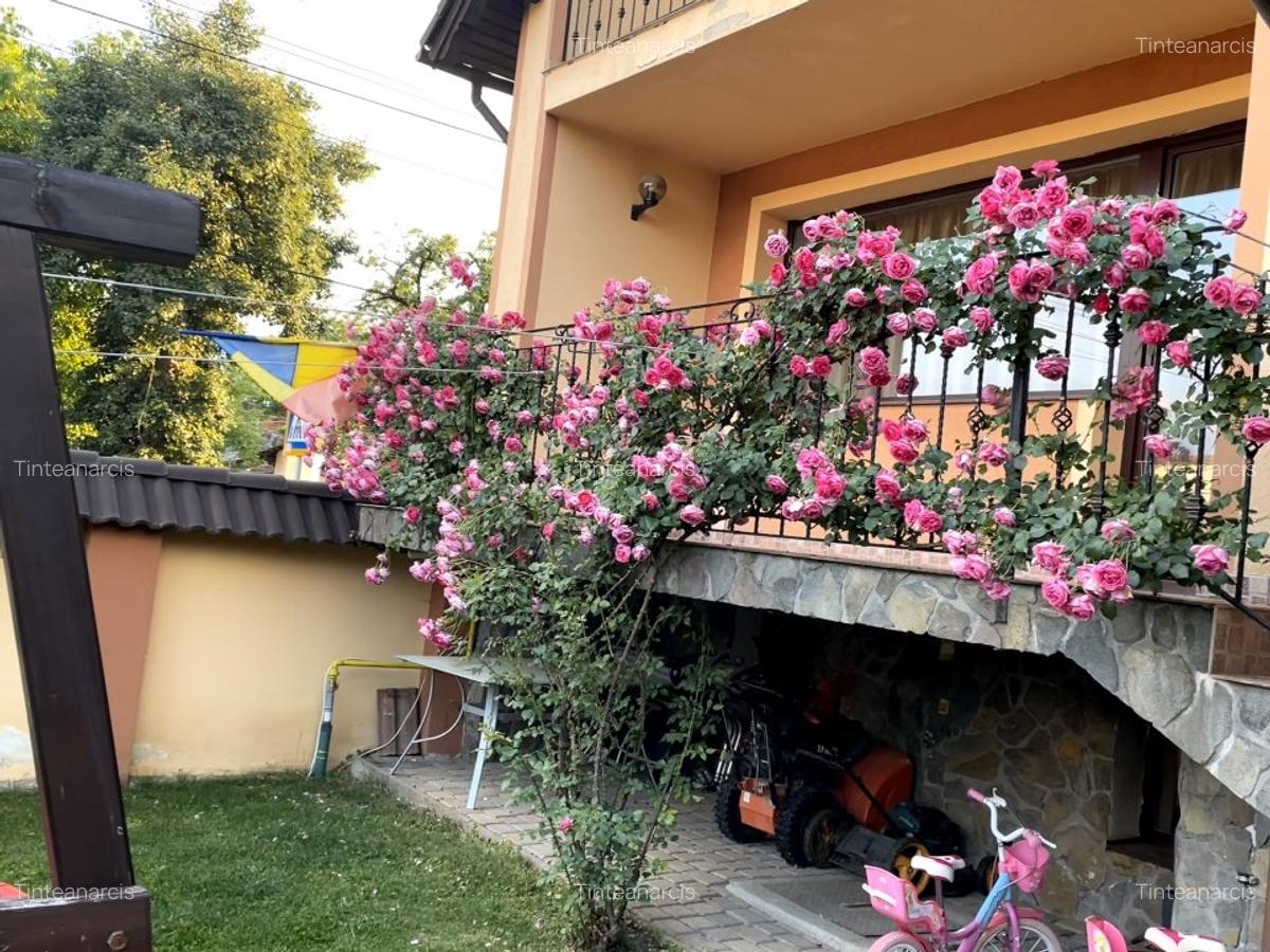 Casa Cristian direct proprietar. - 8