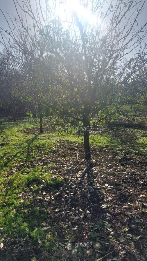 Vand casa loc.Platonesti, Jud.Ialomita - 8