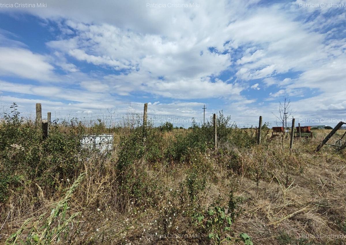 Teren intravilan Vidra Ilfov 3533mp - 1