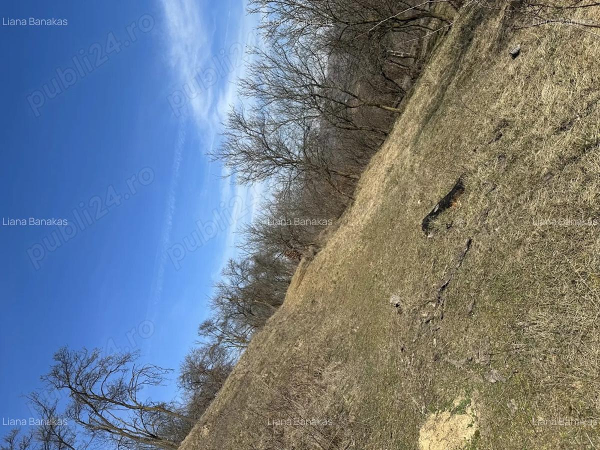 Vand casa taraneasca renovata partial cu 8000 mp gradina - 8