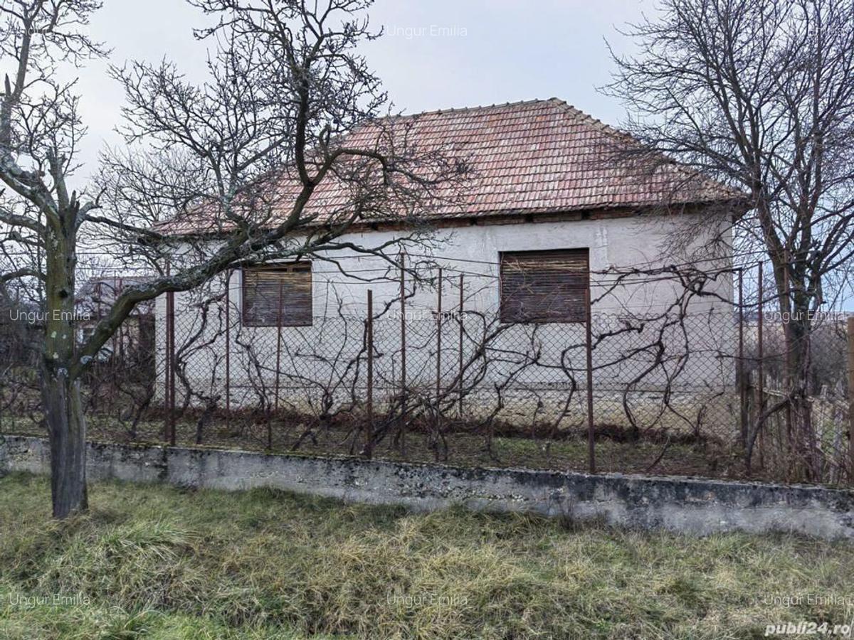 De vanzare - 1