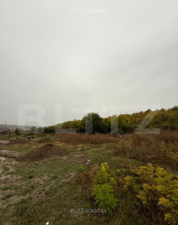 Teren de vanzare, 625 mp, zona Doice?ti - 6