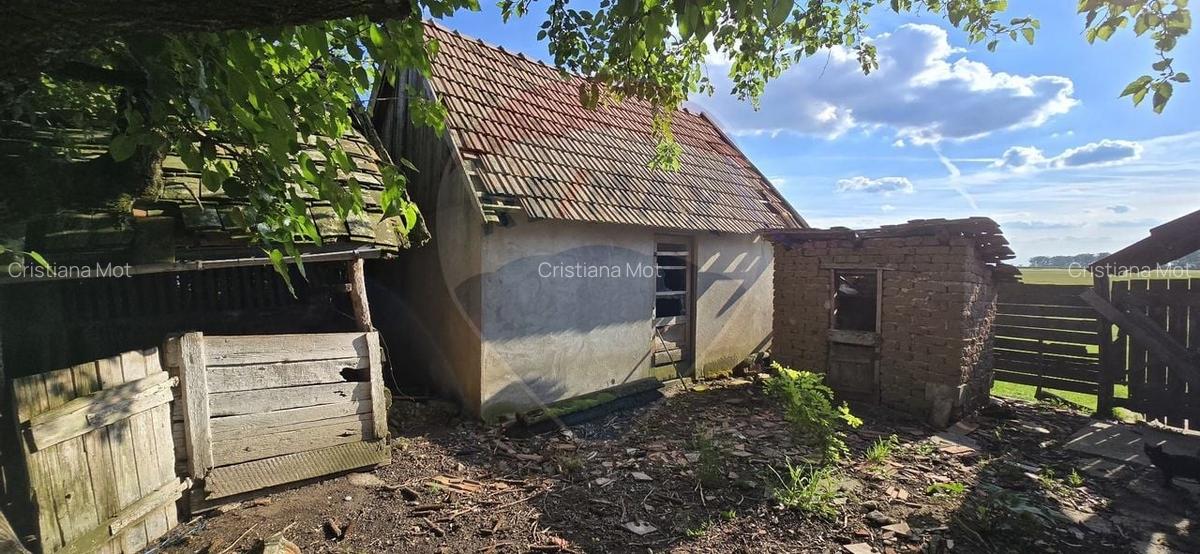 Casa  cu livada 2880 mp in Adea la 4km de Chisineu-Cris - 14
