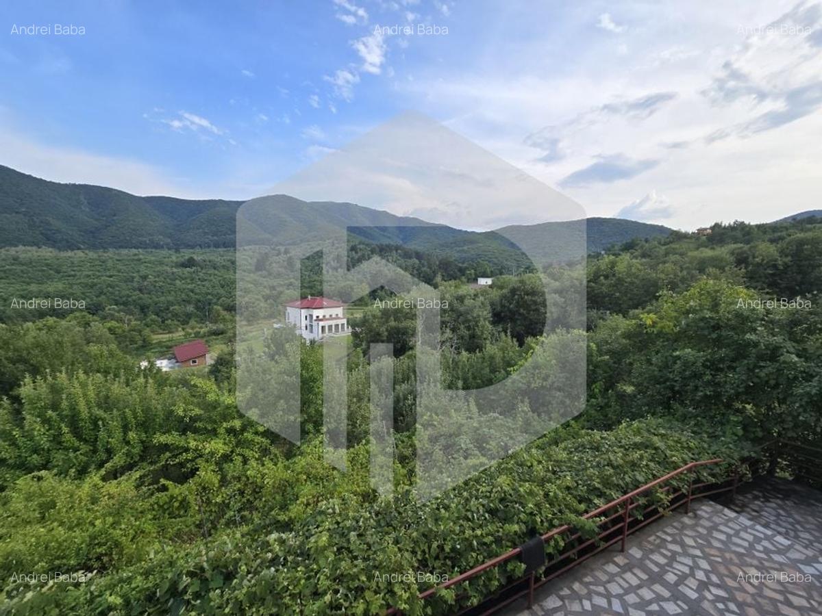 Casa individuala 4 camere teren 3825 mp Cisnadioara - 5