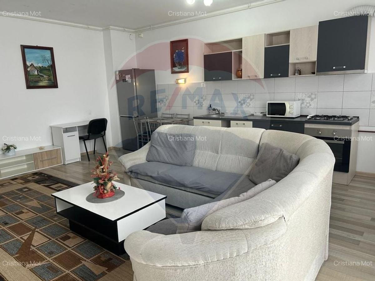 De inchiriat apartament 2 camere - RED 21, Arad - 13