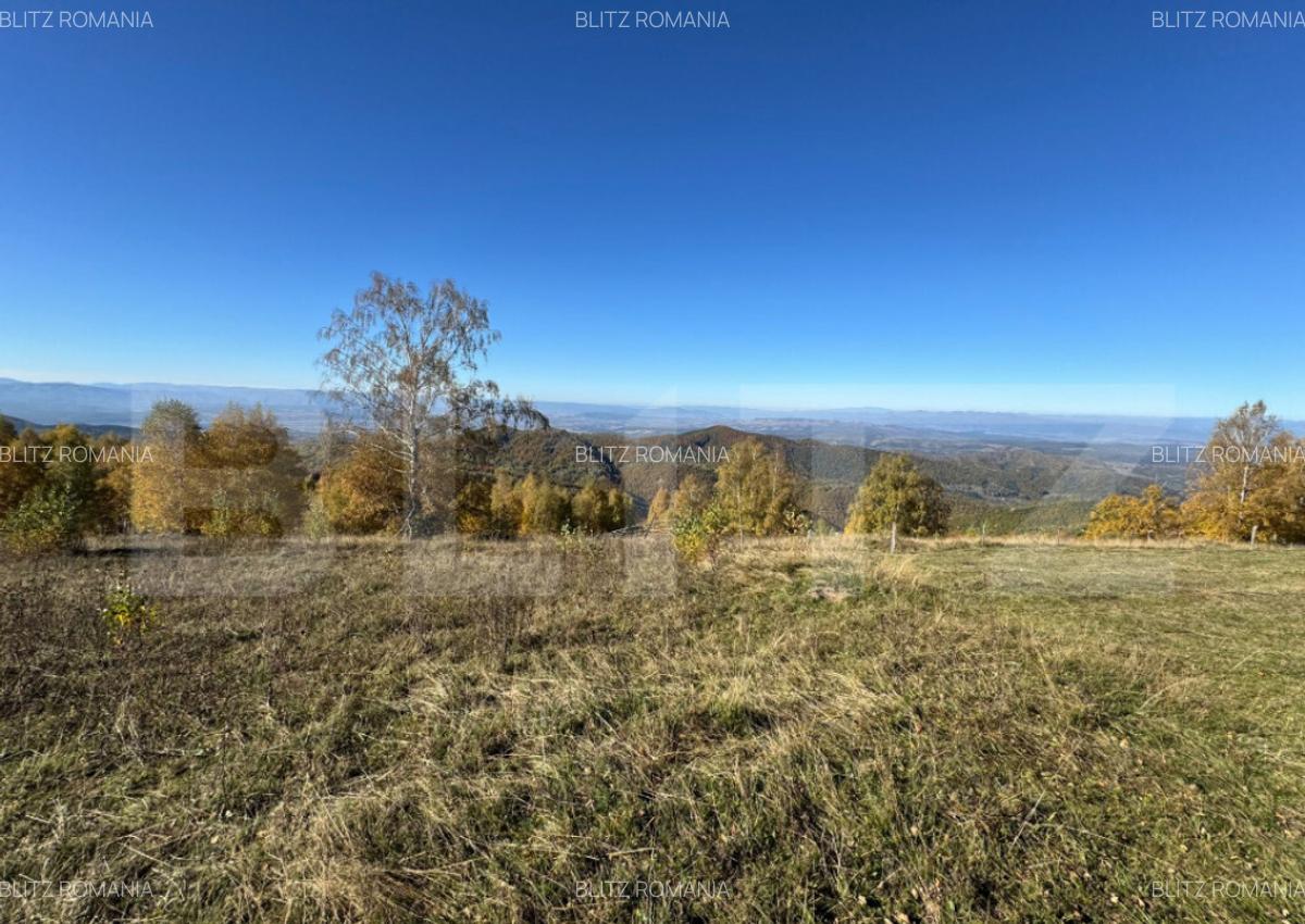 Teren extravilan 6.360 mp in Tarsa - 3