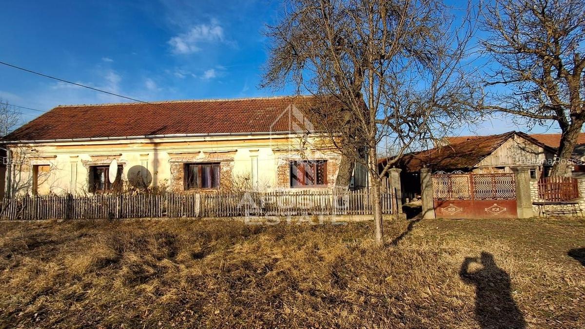 Casa de caramida in Tela si Teren Generos de 4320 mp - 2
