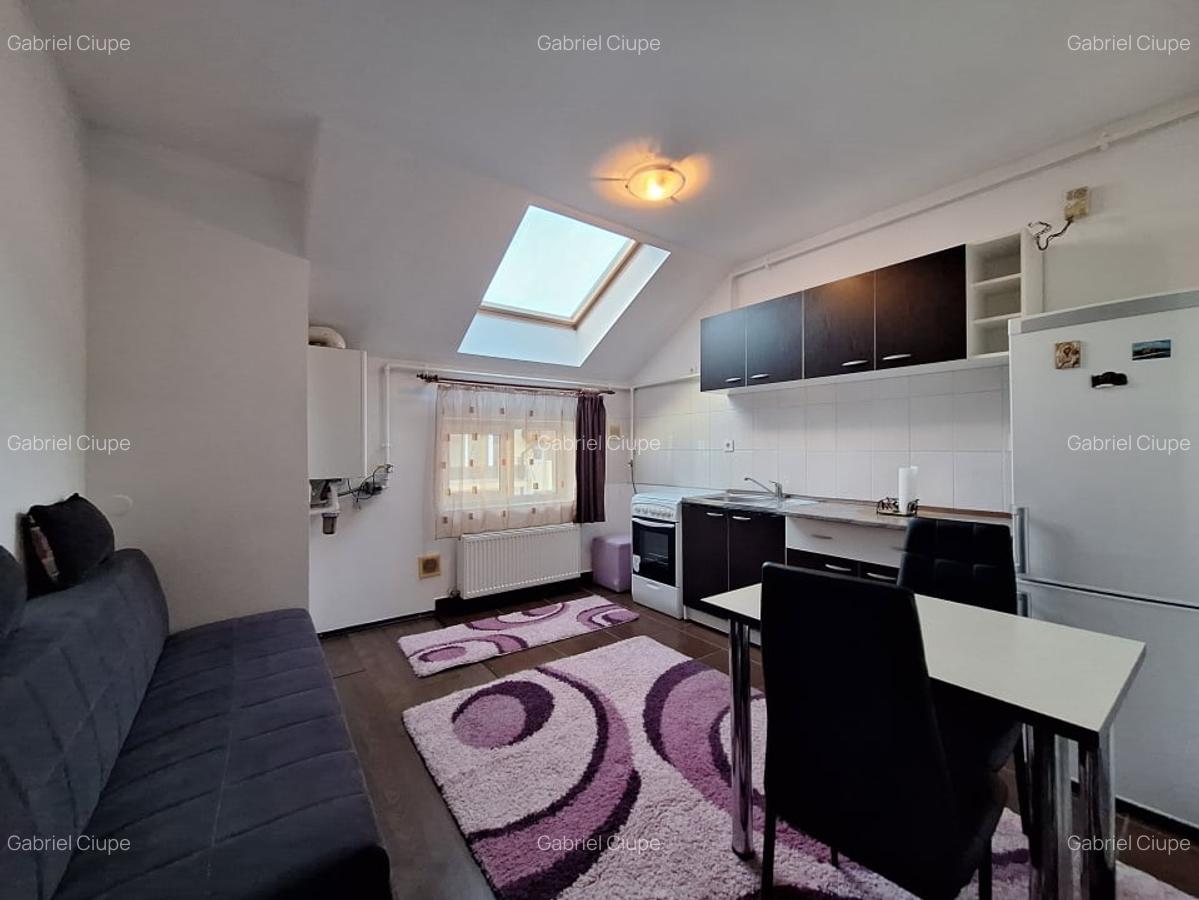 Apartament cu o camera, 34 mp, zona Florilor - 3