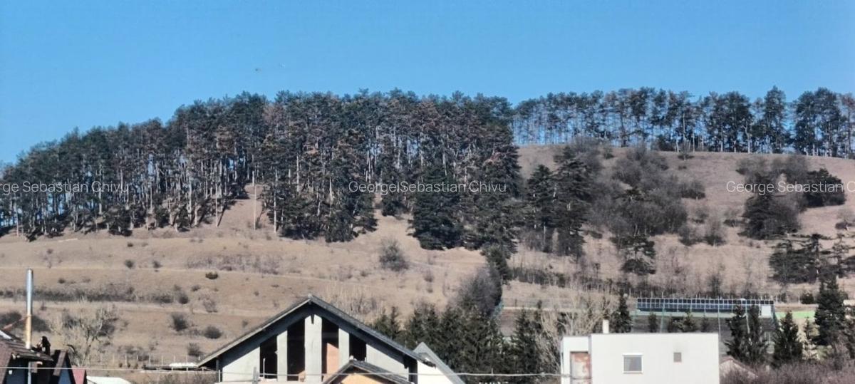 Teren cu suprafata generoasa langa Calea Harmanului - Rezervatia Lempes - 5