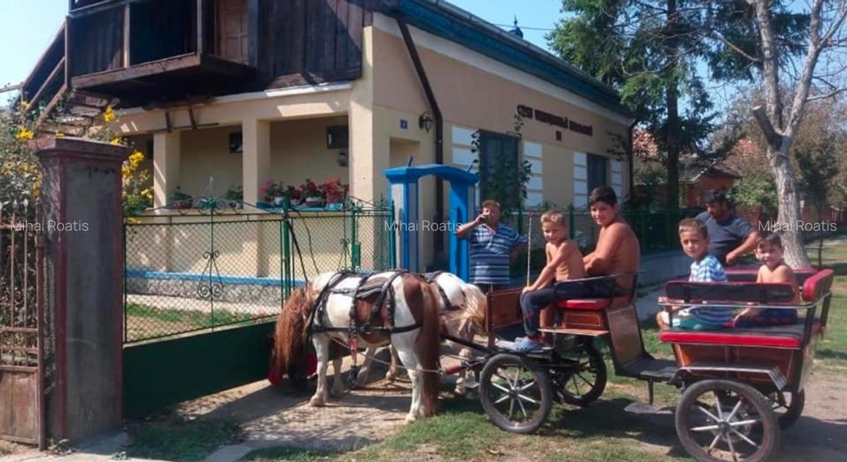 Casă cu teren generos – Mădăras, județul Satu Mare - 4