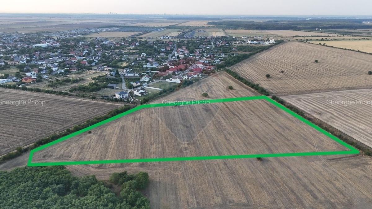 Ocazie investitie, teren intravilan Tamasi / Buftea - 1