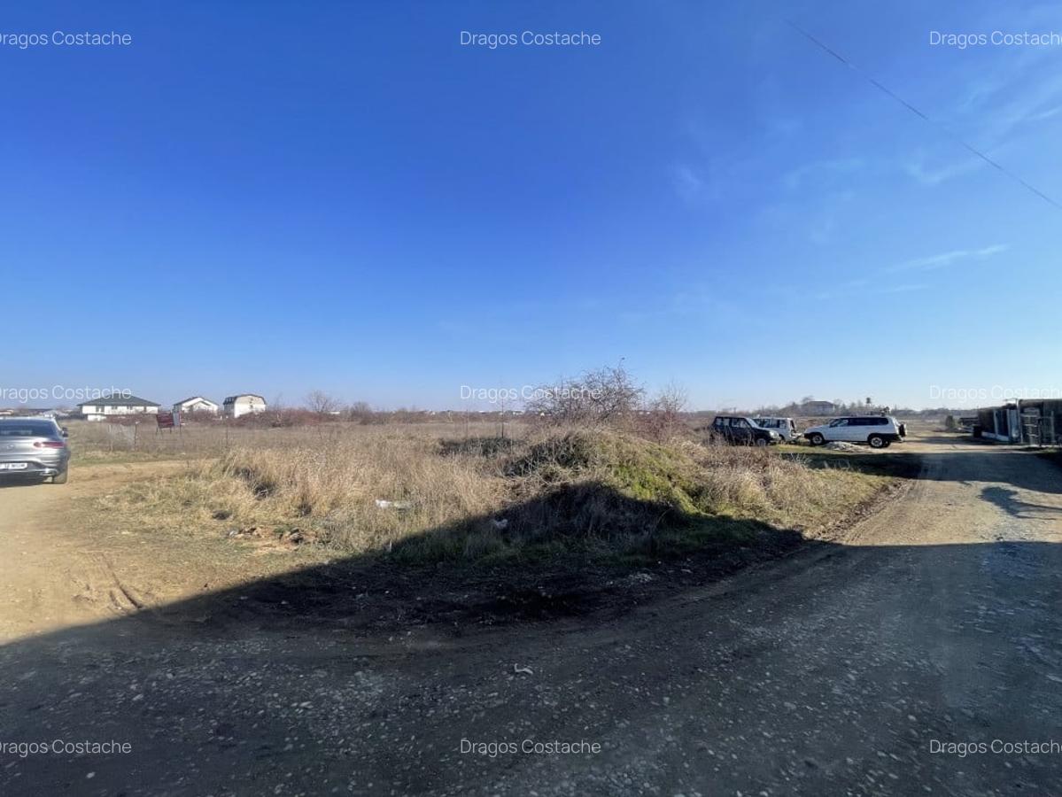 Sos Alexandriei, langa Cartierul Verde, teren 7500mp, utilitati - 5