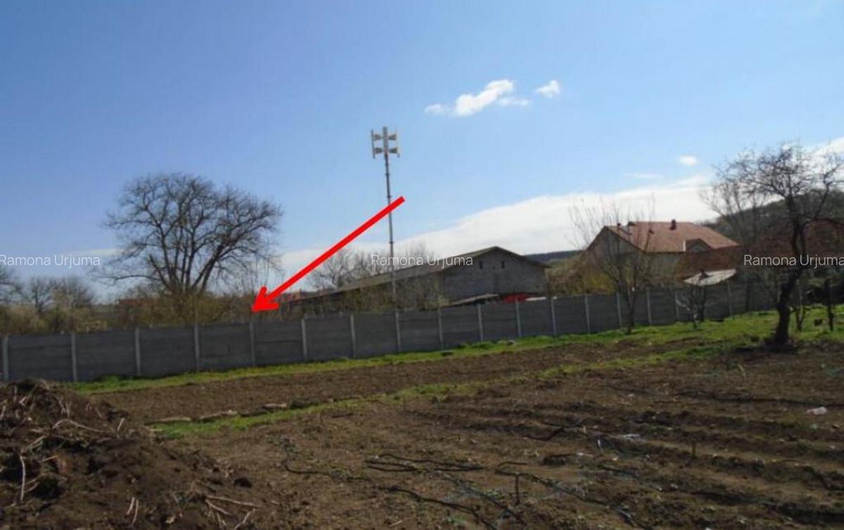 Teren intravilan Loc. Spini, comuna Turdas, jud. Hunedoara - 10