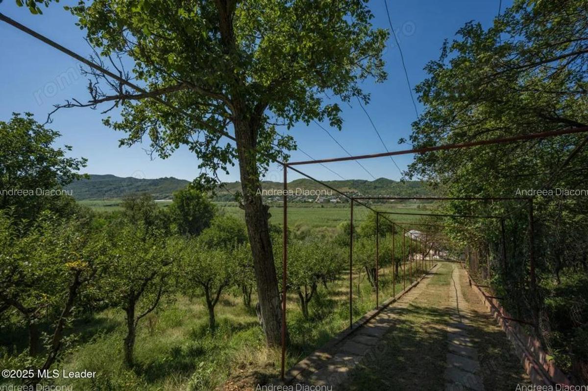 Casa de vacanta cu teren 5394 mp, Pucioasa, Dambovita - 7 Casa de vacanta cu teren 5394 mp, Pucioasa, Dambovita - 7